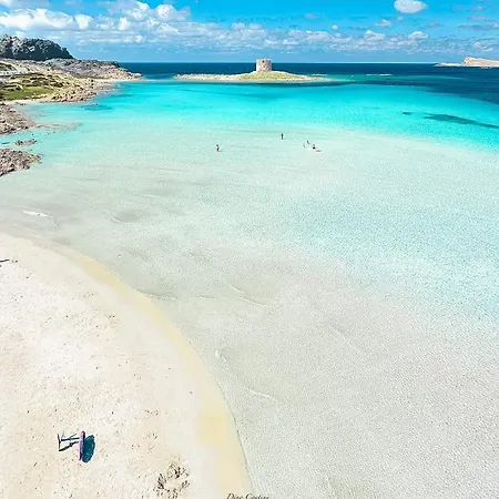 Ancoramare * Stintino